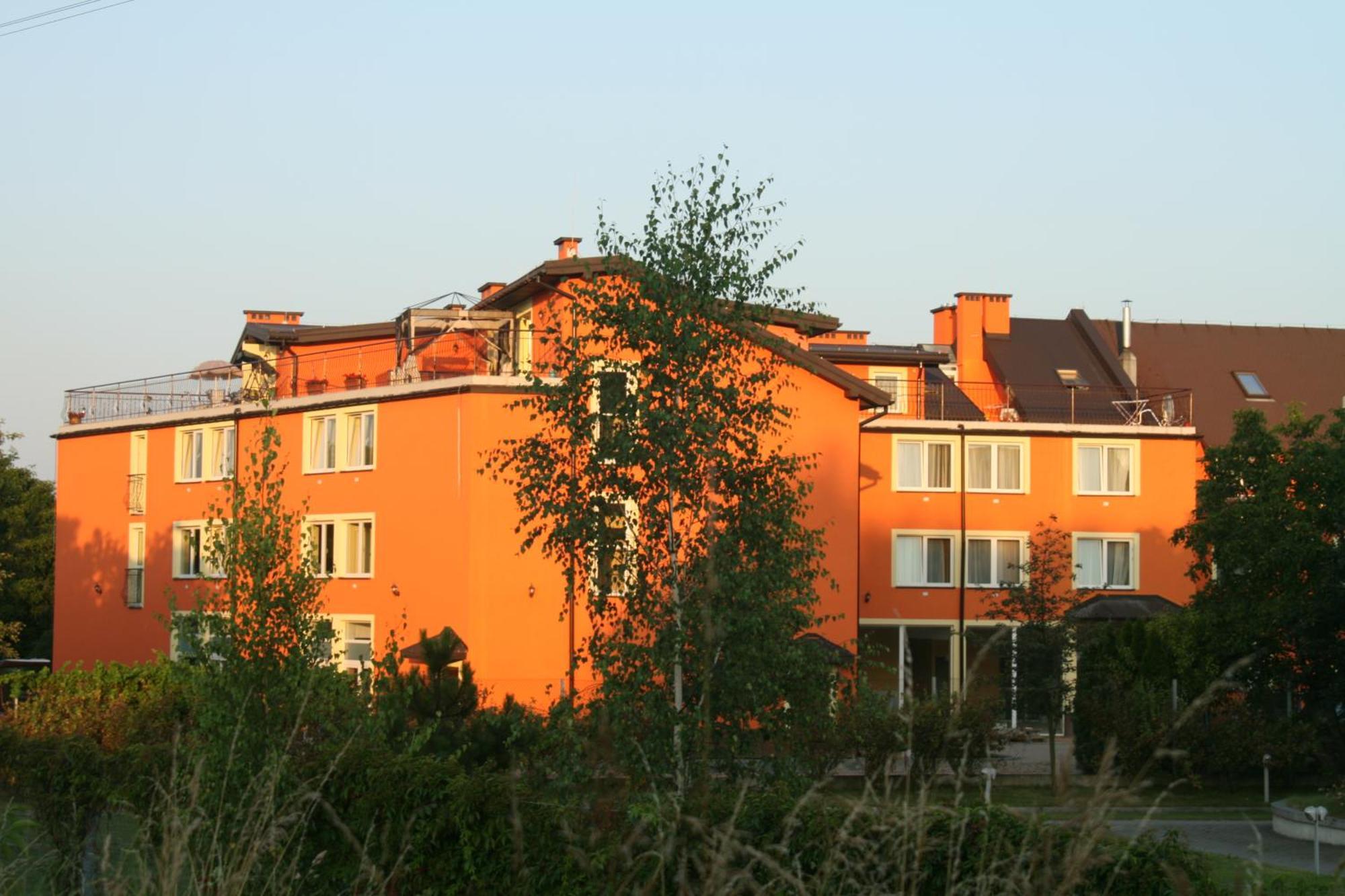 Daisy Superior, Krakow